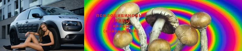 Псилоцибиновые грибы Magic Shrooms  Иваново 